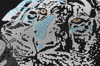 PP Sweatshirt Tiger